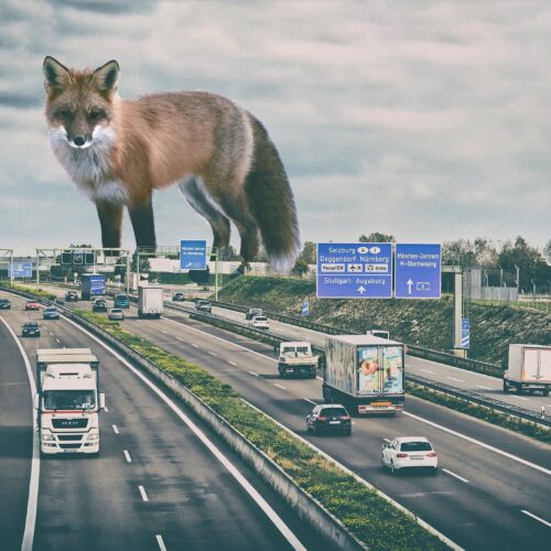 Alternative view of Do adobe photoshop editing, add, remove people, resize image