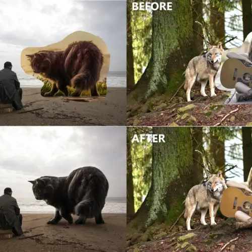 Do adobe photoshop editing, add, remove people, resize image