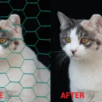 Remove people, object from your images by photoshop