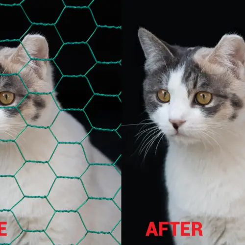 Remove people, object from your images by photoshop