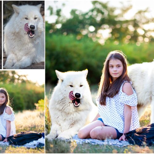 Blend images , photo manipulations and compositions